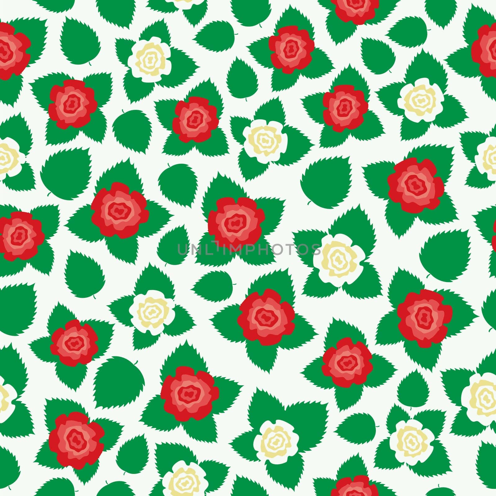 Beautiful simple red and white roses on a white background
