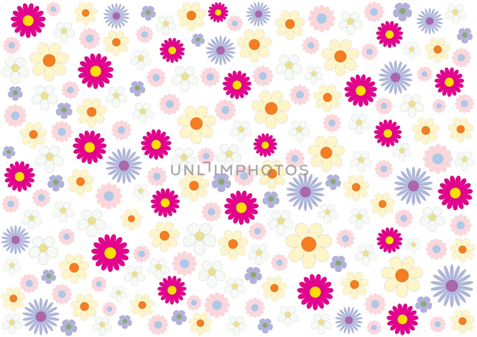 Beautiful summer flowers on a white background