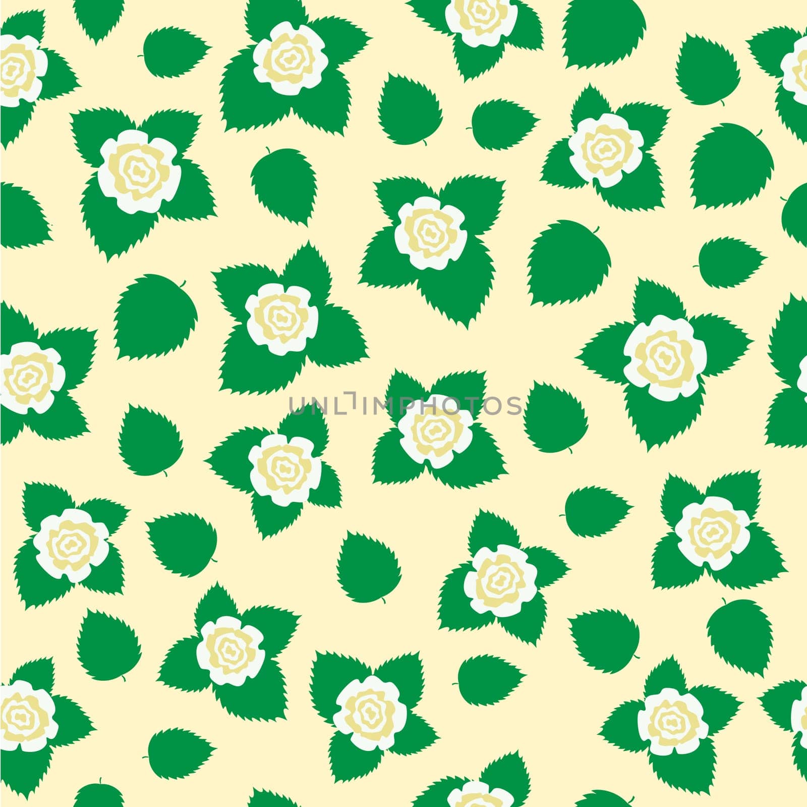 The white roses with leaves texture on the white dairy background