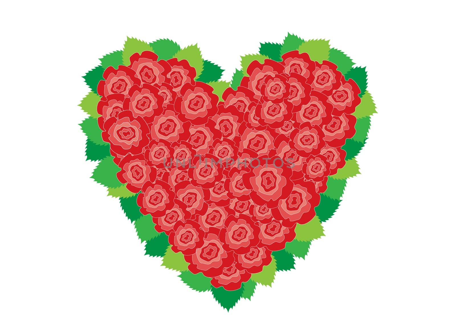Beautiful red roses heart around leaves on the white background