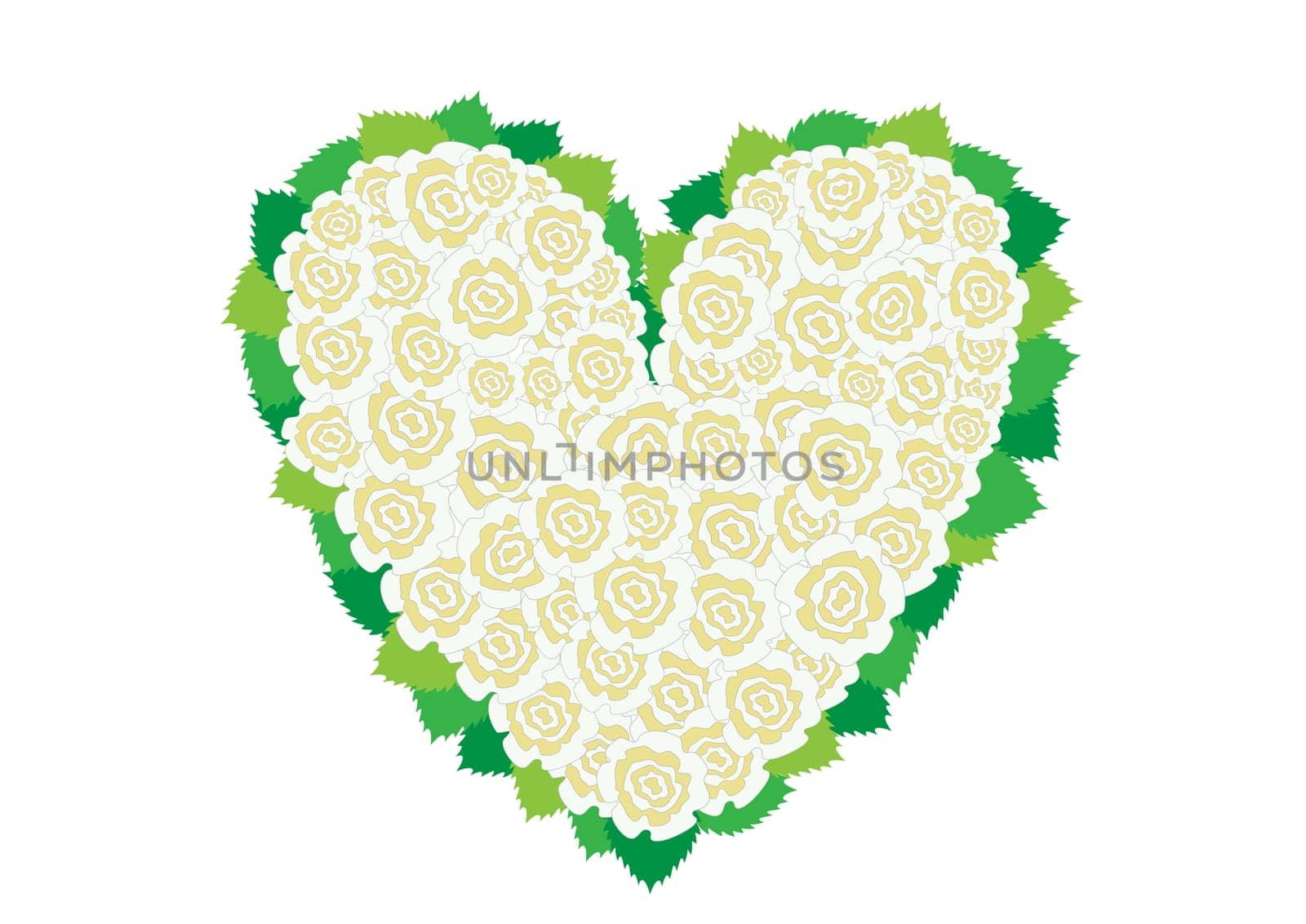 White roses heart around leaves on the white background