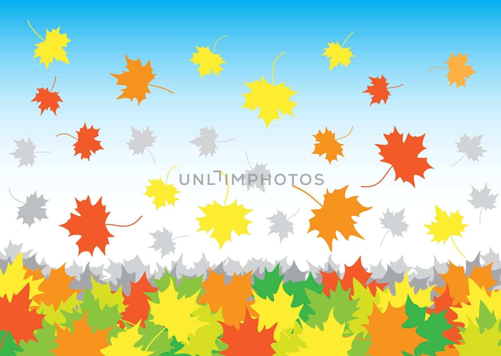 falling maple leaves in heap on the white background