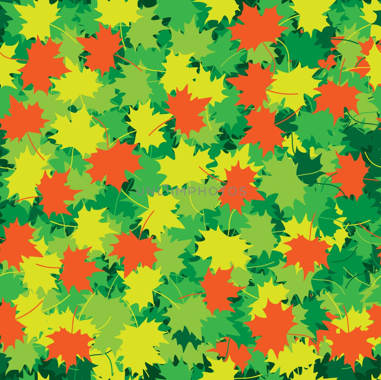 The green, yellow and red maple leaves texture