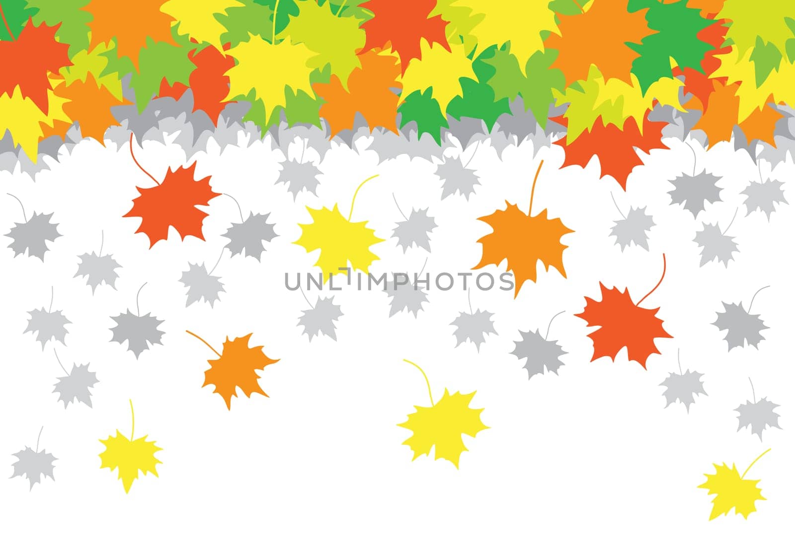 falling maple leaves on the white background