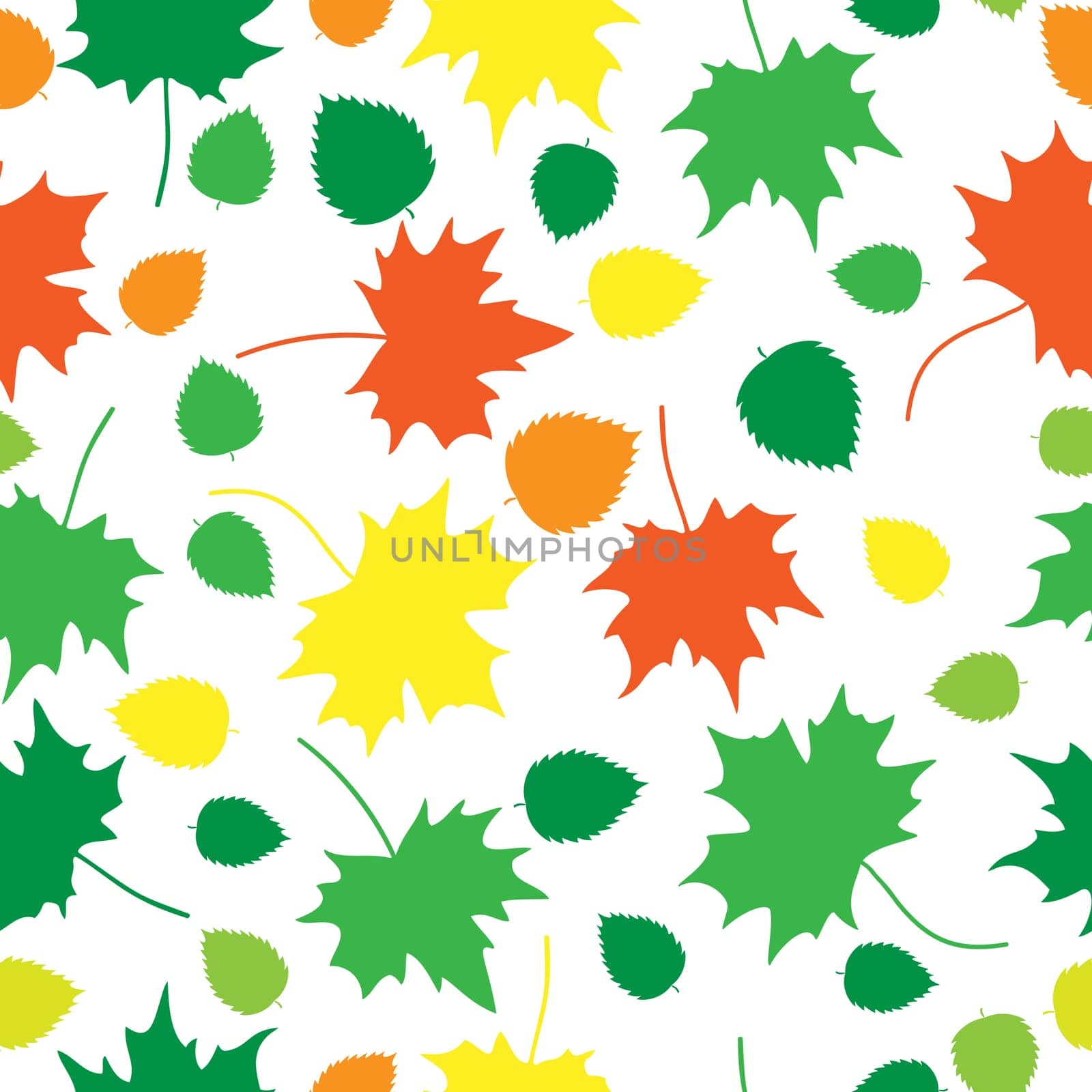 Beautiful autumn oak and maple leaves texture on white background