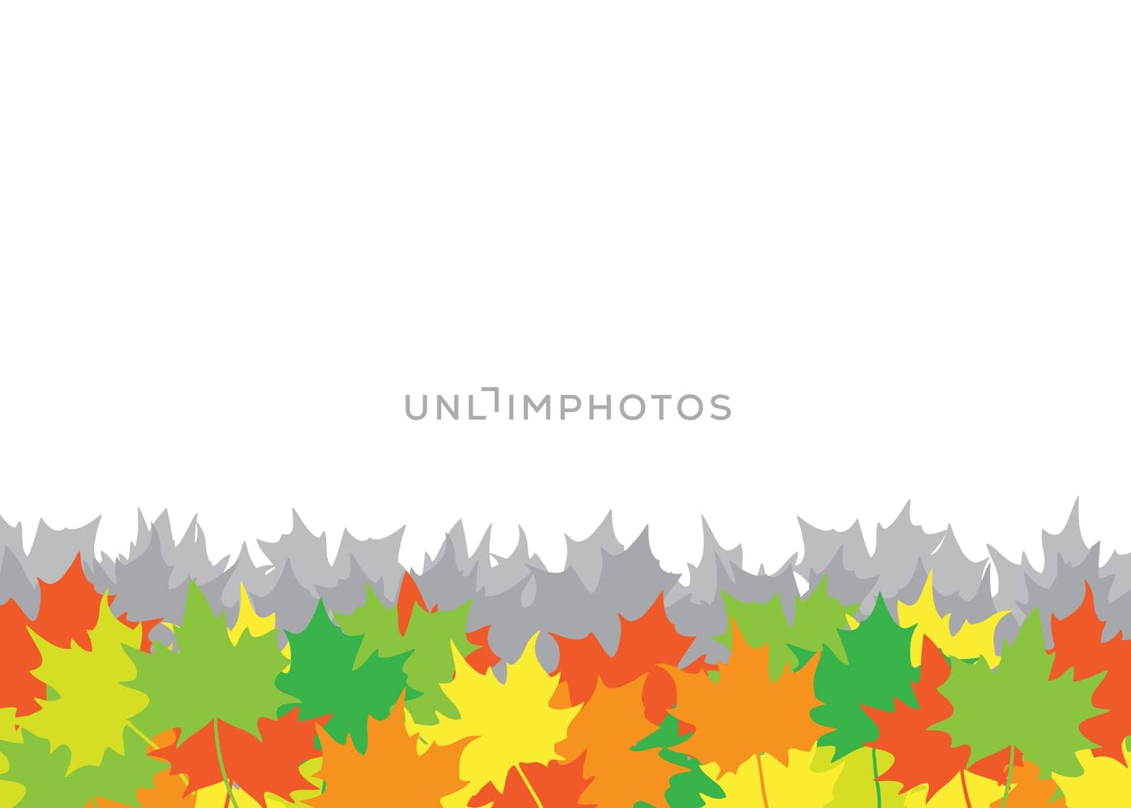 The maple leaves on the white background