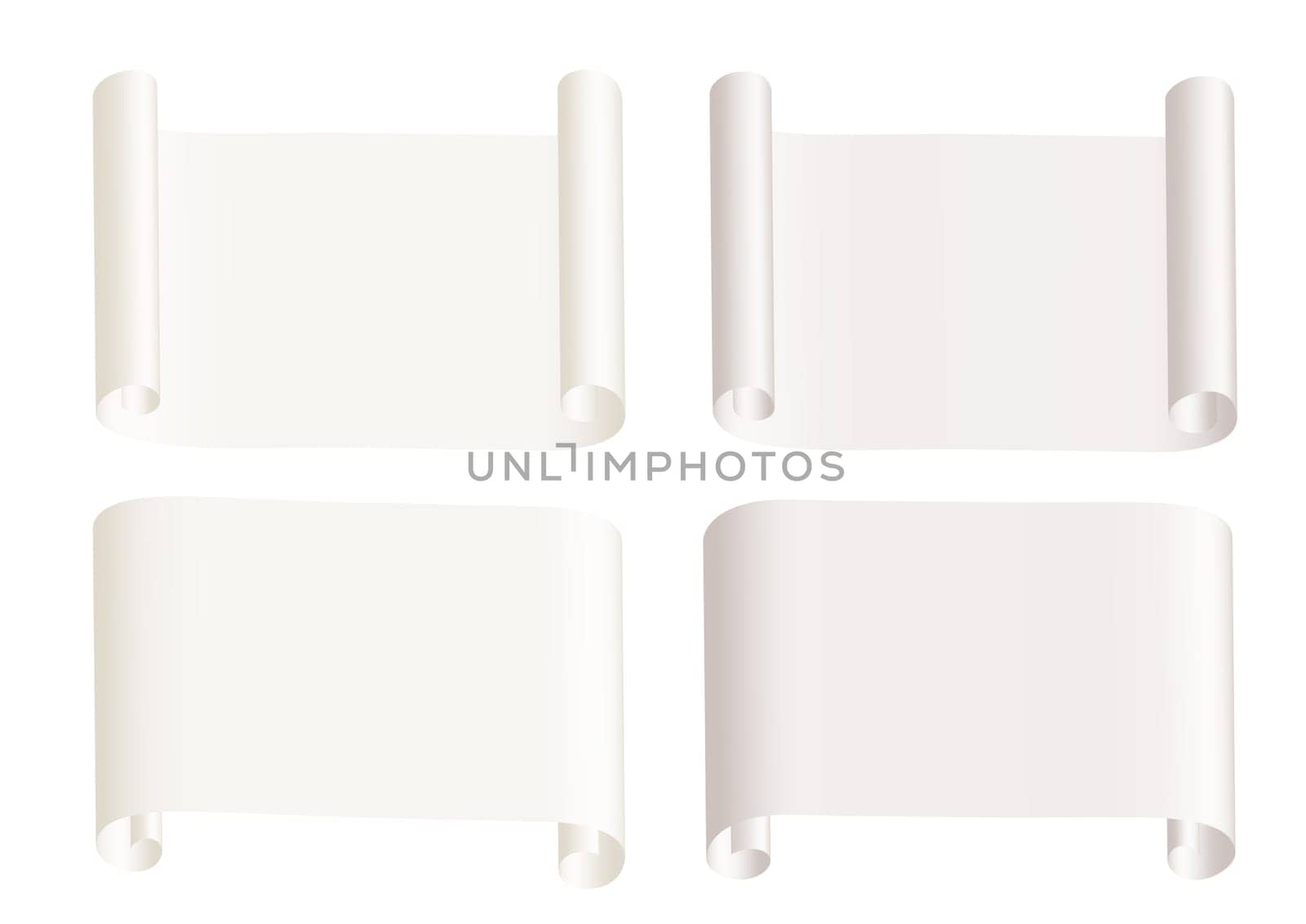 Paper roll isolated on the white background