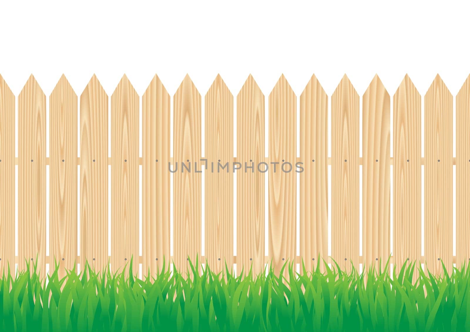 The wood fence and the green grass