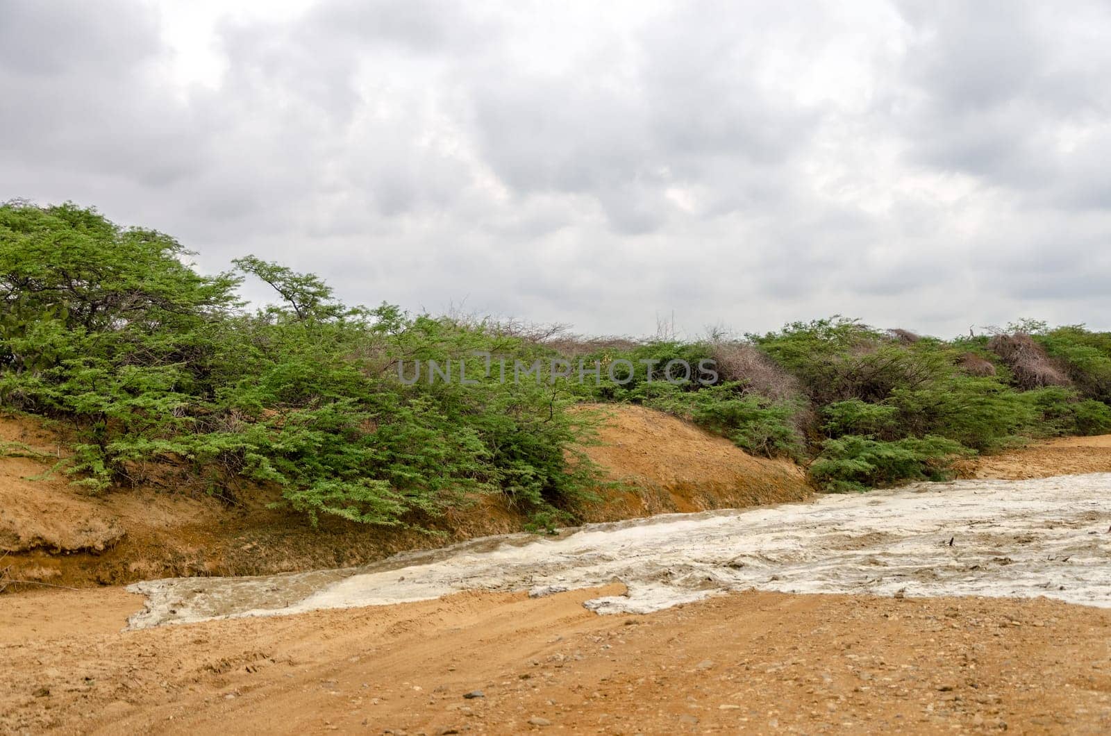 Flash flood filling up a dry river bed in a desert