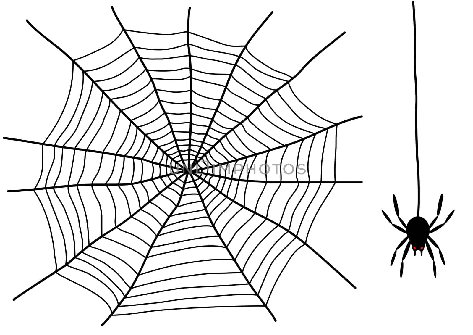 black spider and spider web isolated on the white background