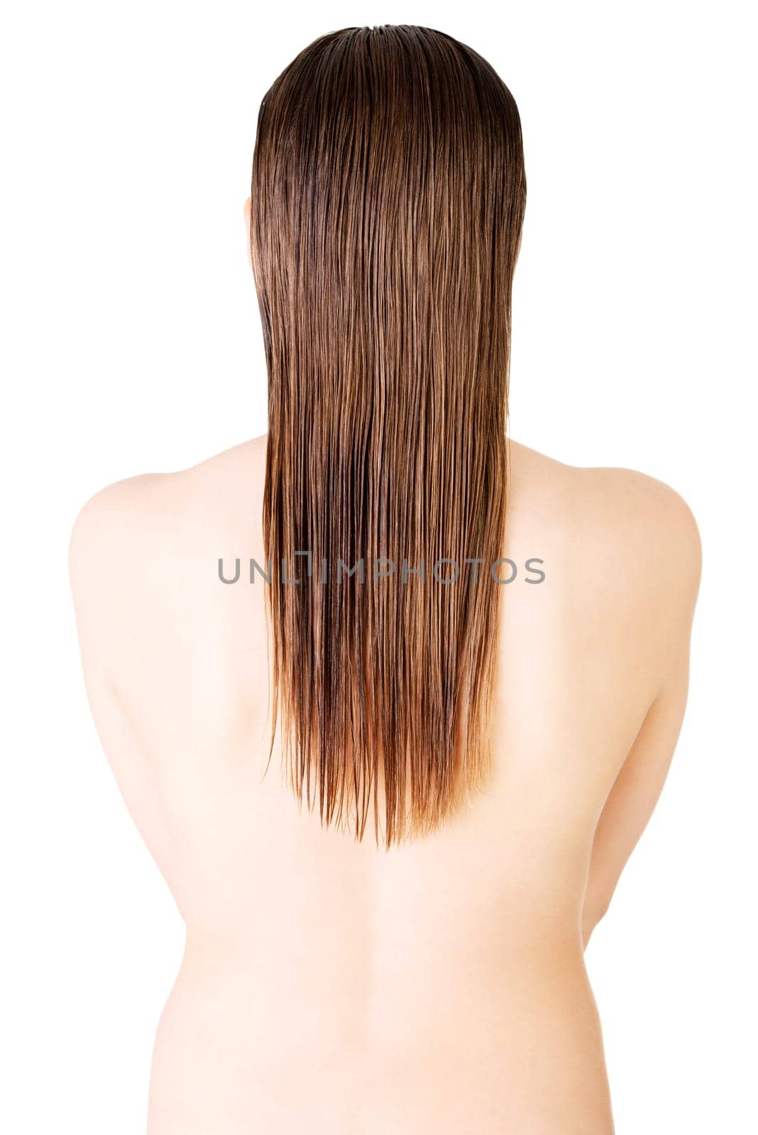 woman's back. long hair.isolated on white. back view.