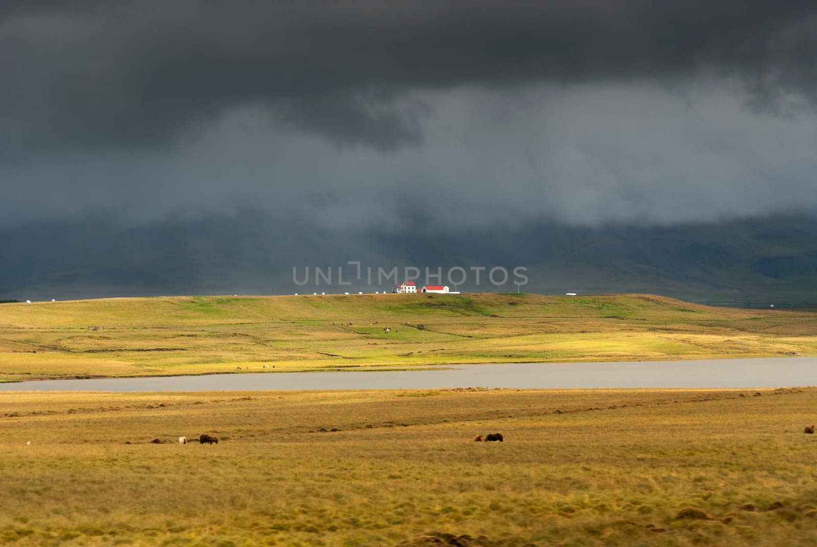 black sky and meadows in Iceland