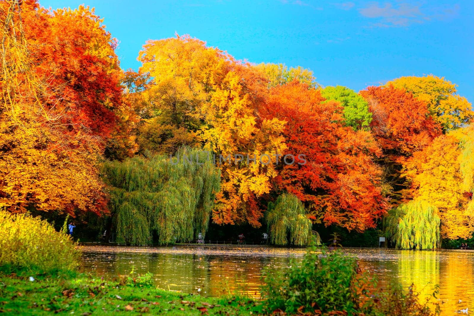 Autumn in Munich