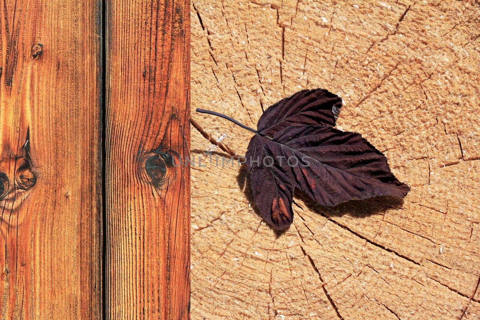 Wood is nature