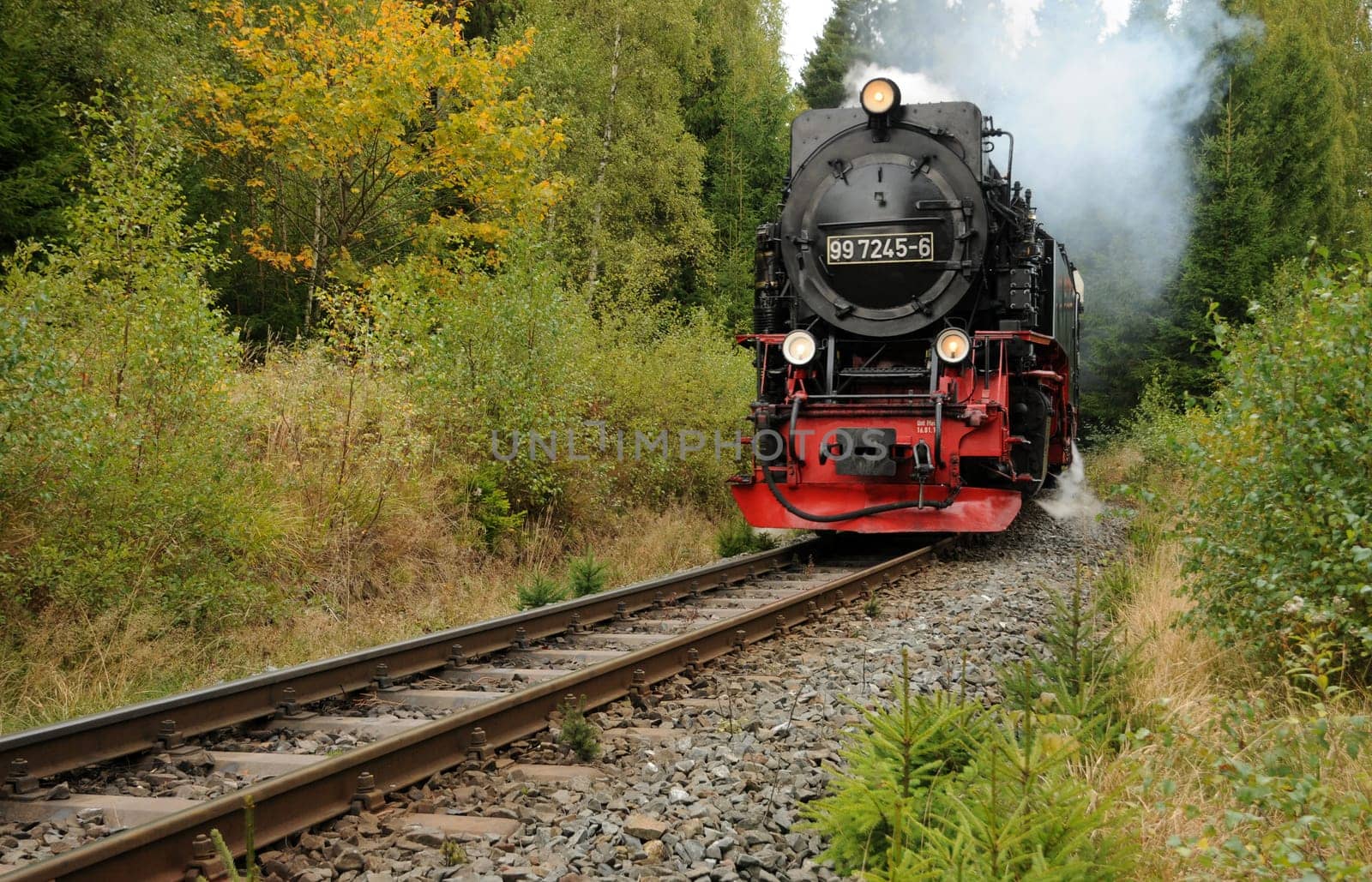Narrow-gauge railway in the Harz Mountains