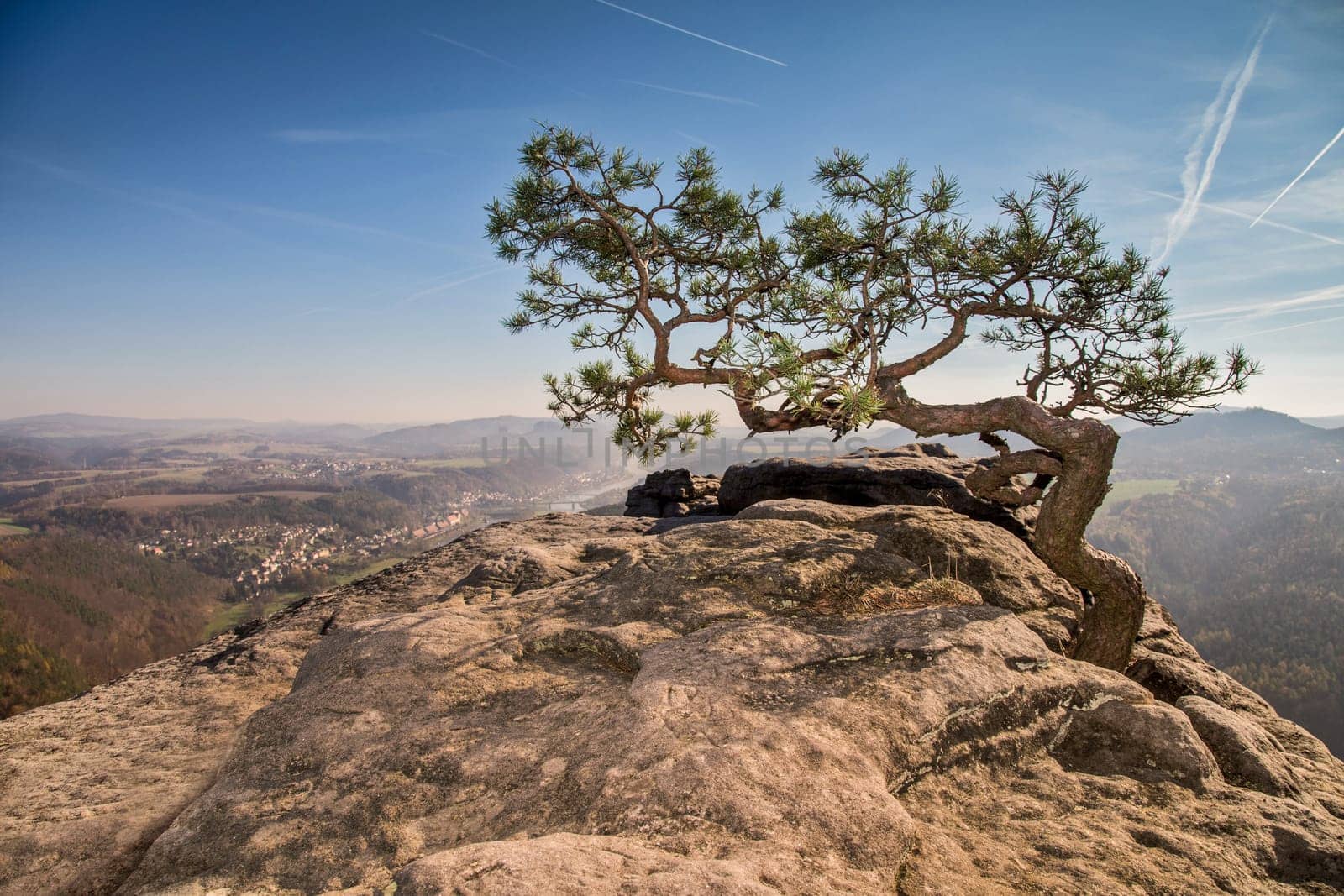 View from Lilienstein