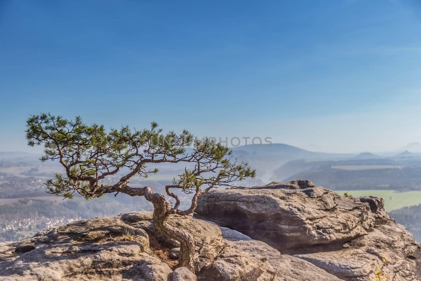 View from Lilienstein