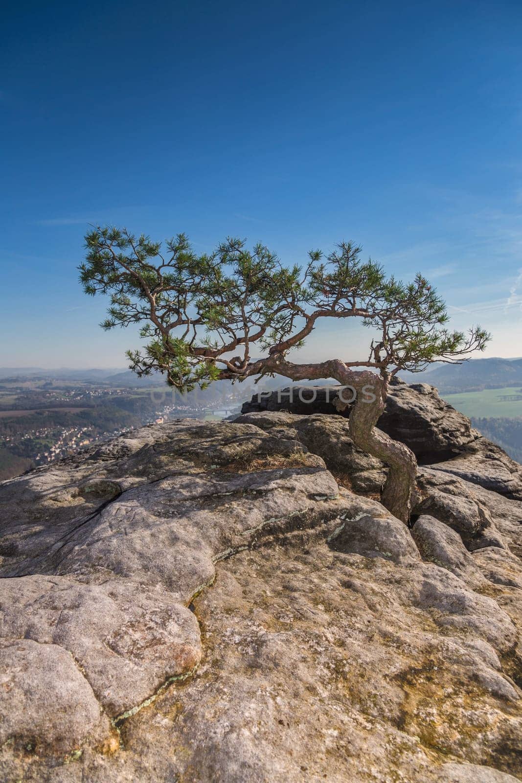 View from Lilienstein