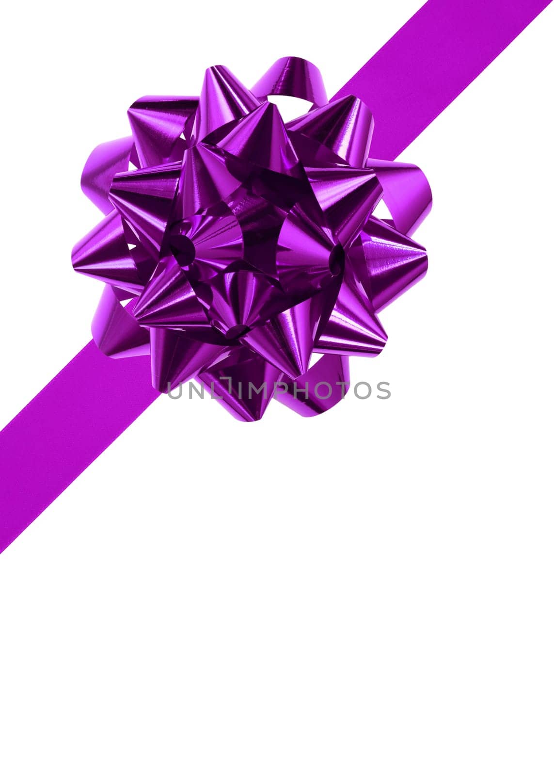 purple bow isolated