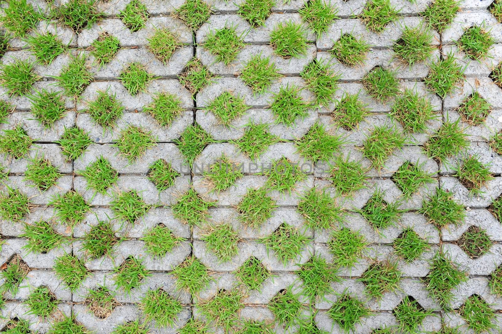 Concrete block with grass