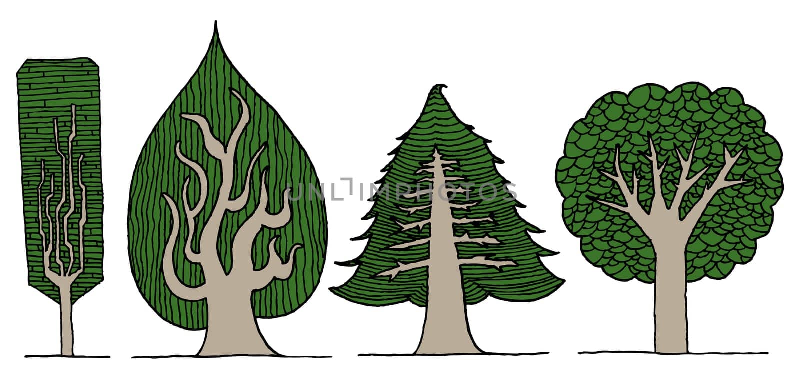 Hand drawn vector exotic tree set