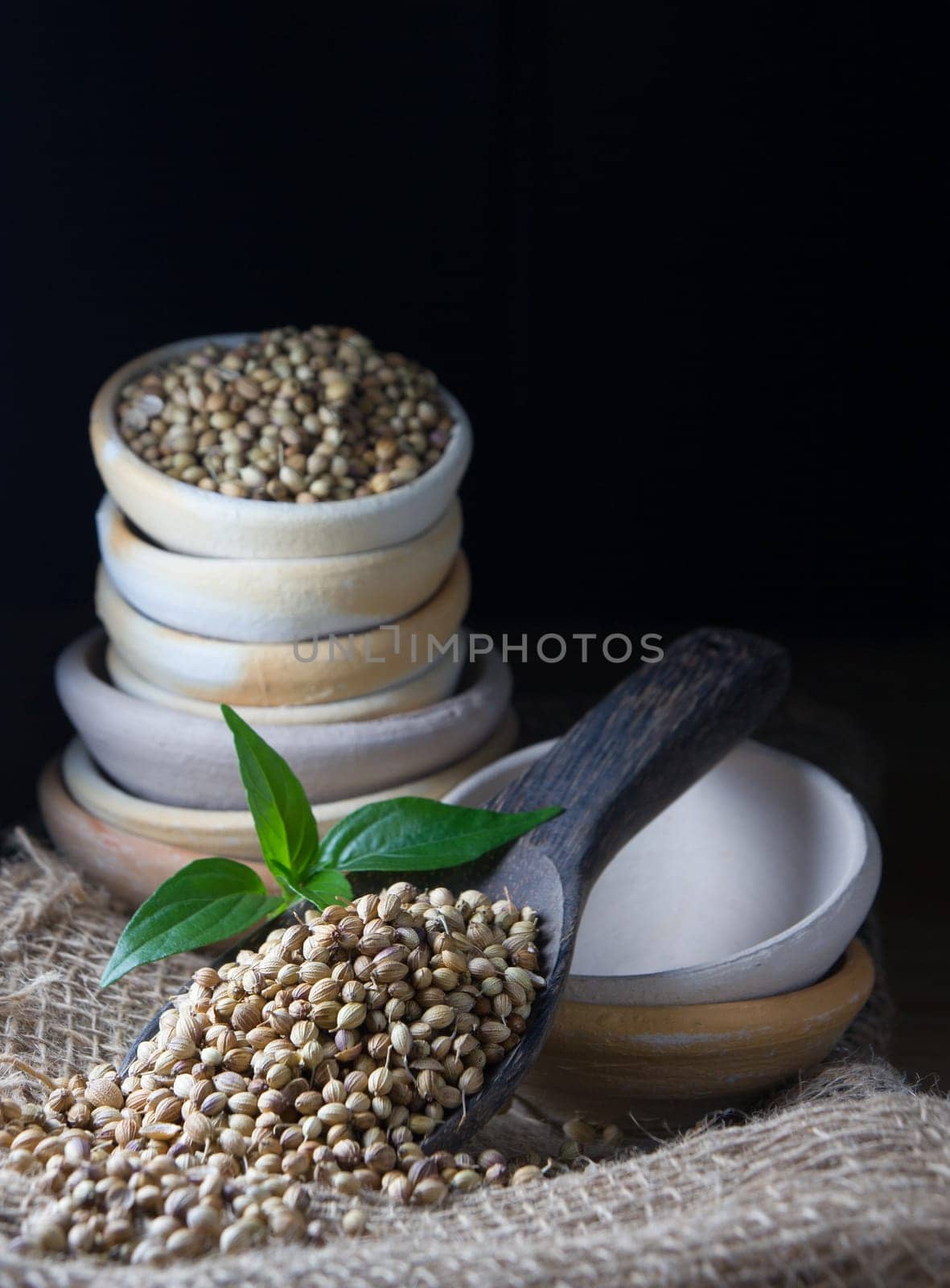 Cooking Spices, Coriander Seed on wooden spoon
