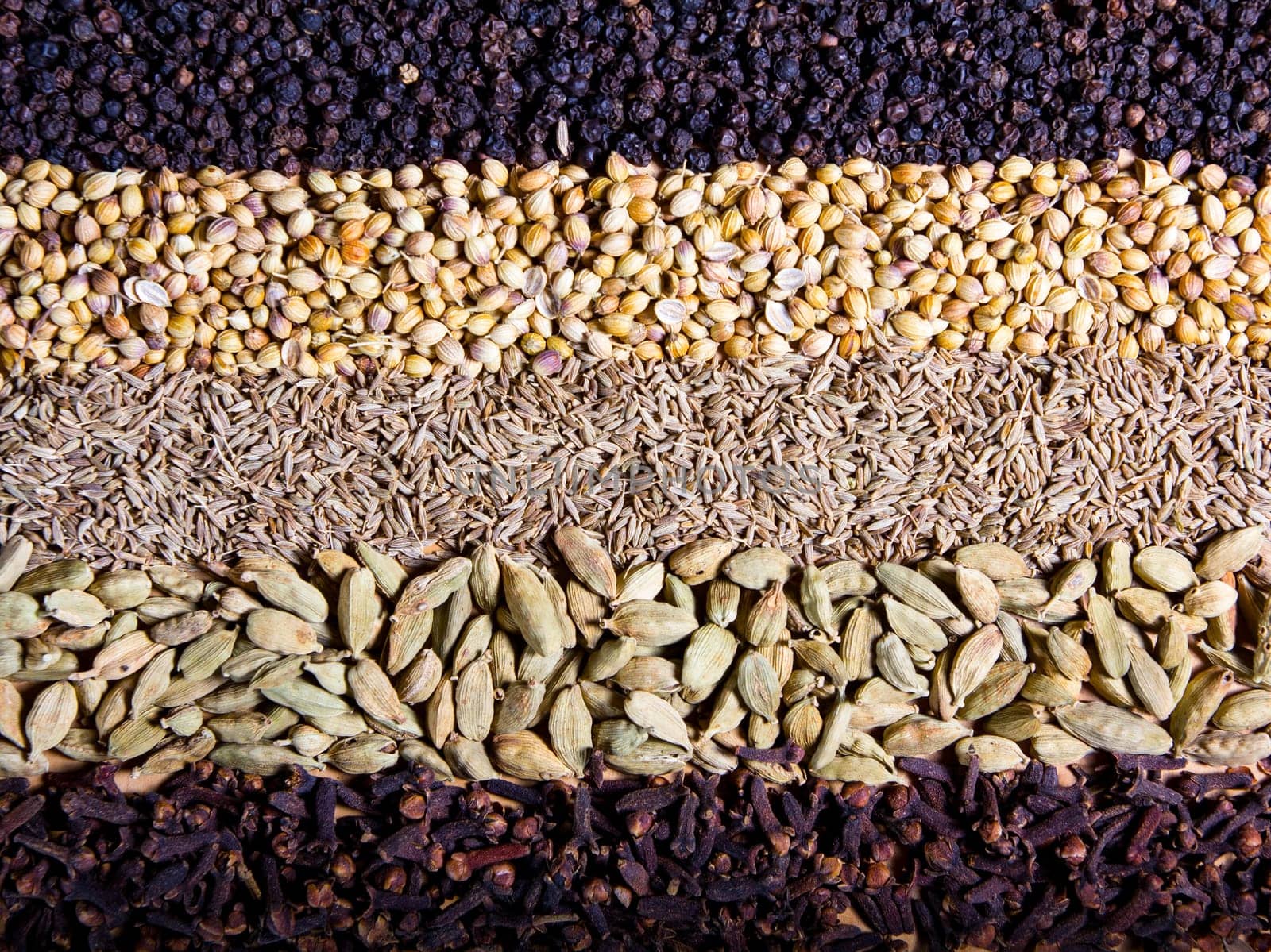 Row of dry spices background