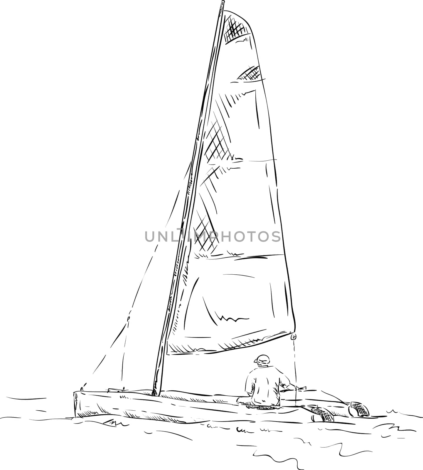 vector - catamaran with sailor, isolated on background