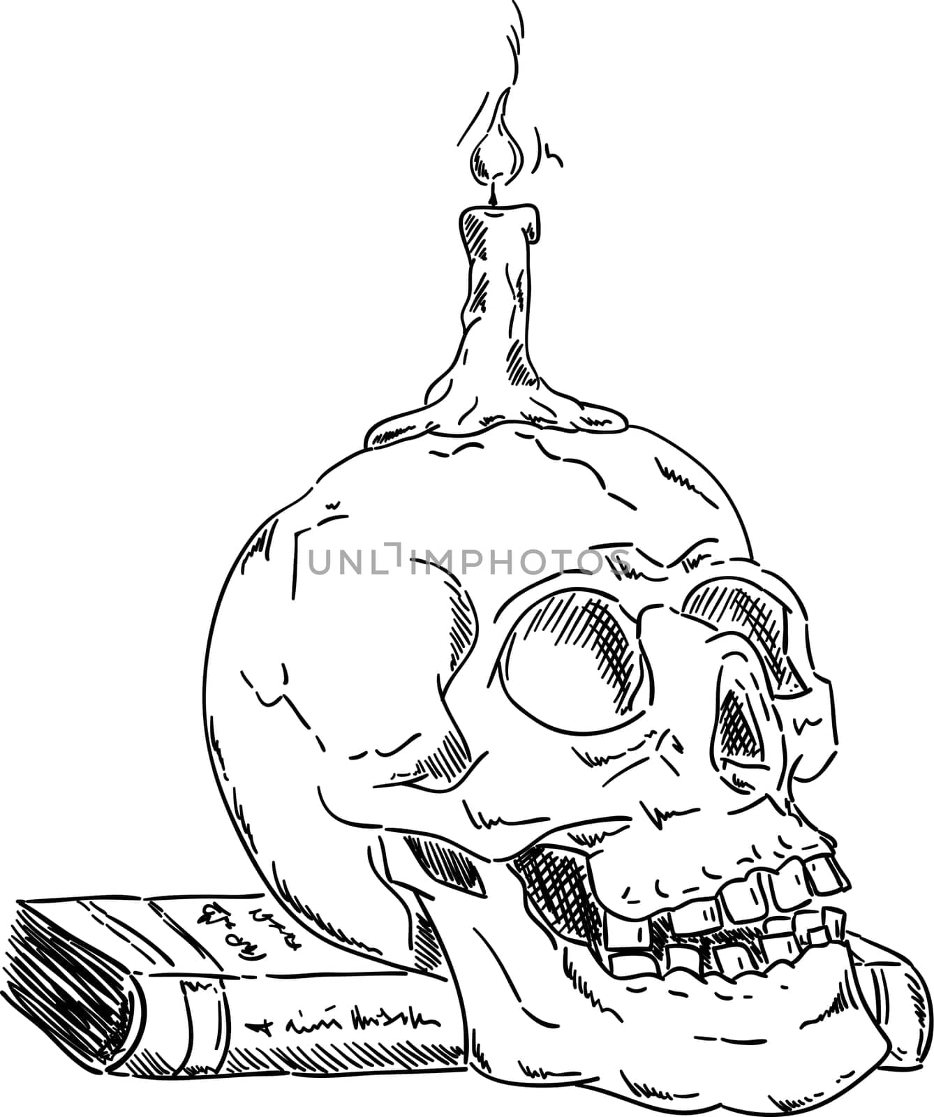 vector - Skull on book with candle ,isolated on background , hand draw