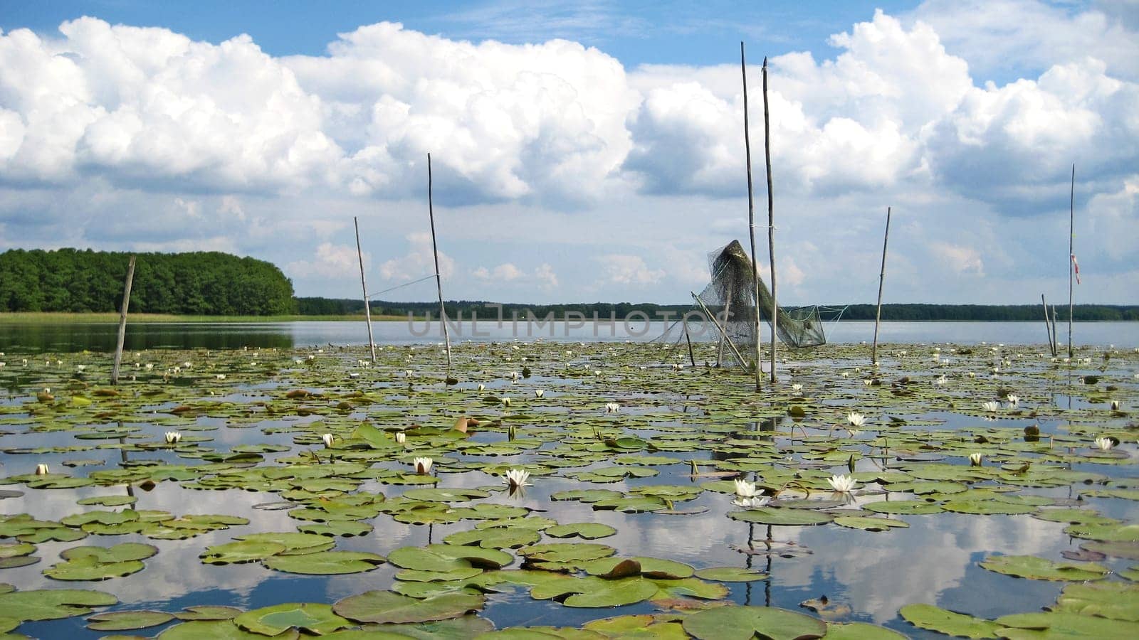 Idyllic lake mueritz with fishnets, forest in the background and blue sky with clouds