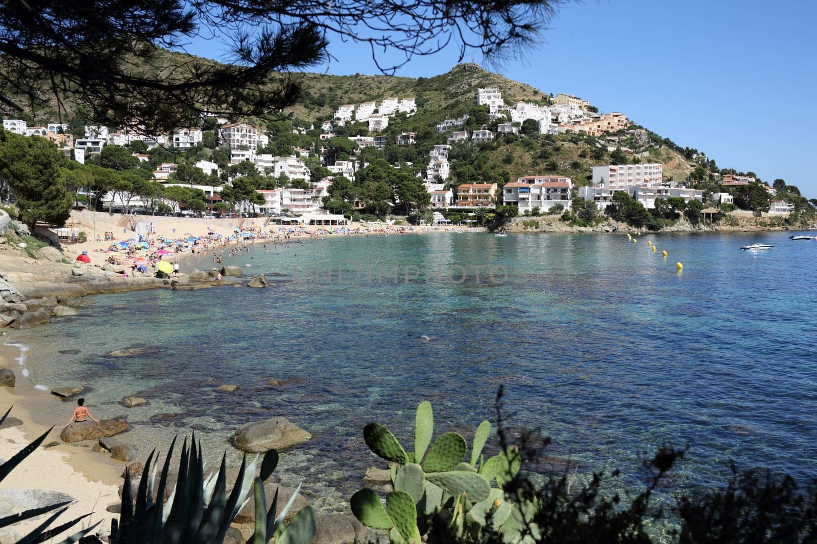 Details of a beach of Canyelles in Costa brava in Spain.
