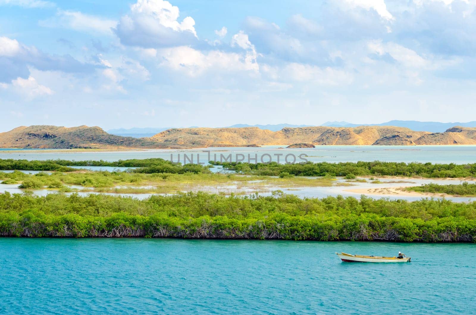 Boat passing by mangrove trees in the Caribbean Sea