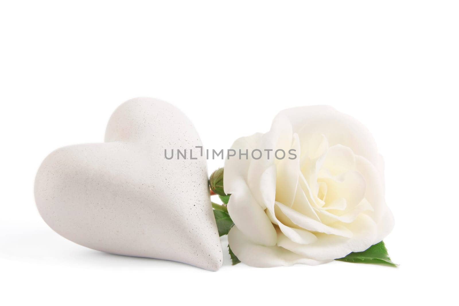 White rose with heart