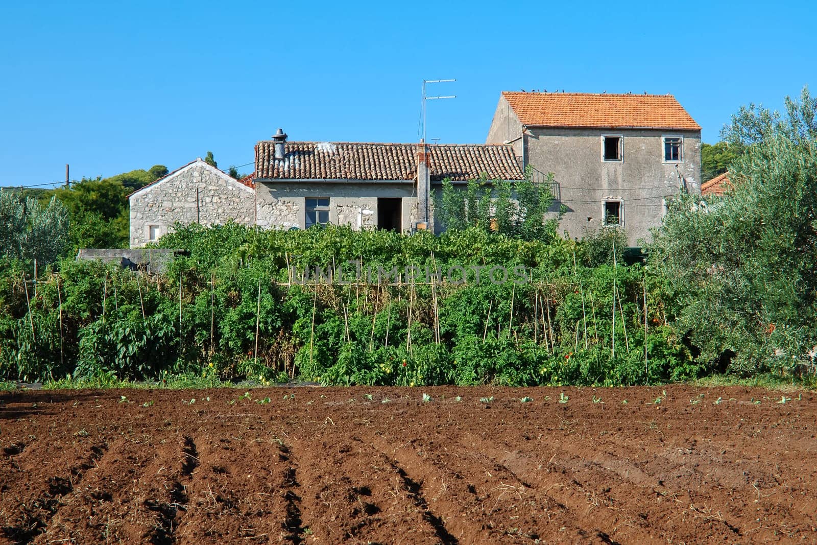 Farmhouse with vegetable garden