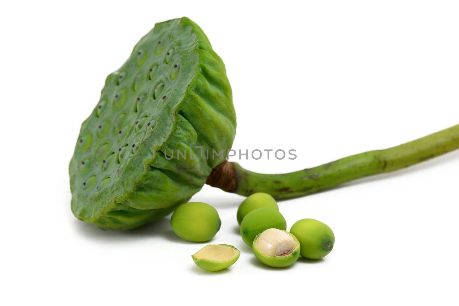 Lotus seeds on white background