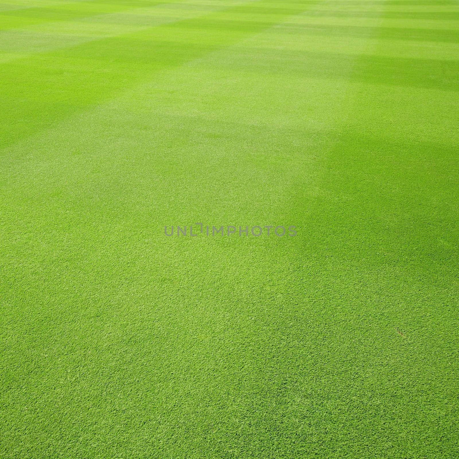 grass texture