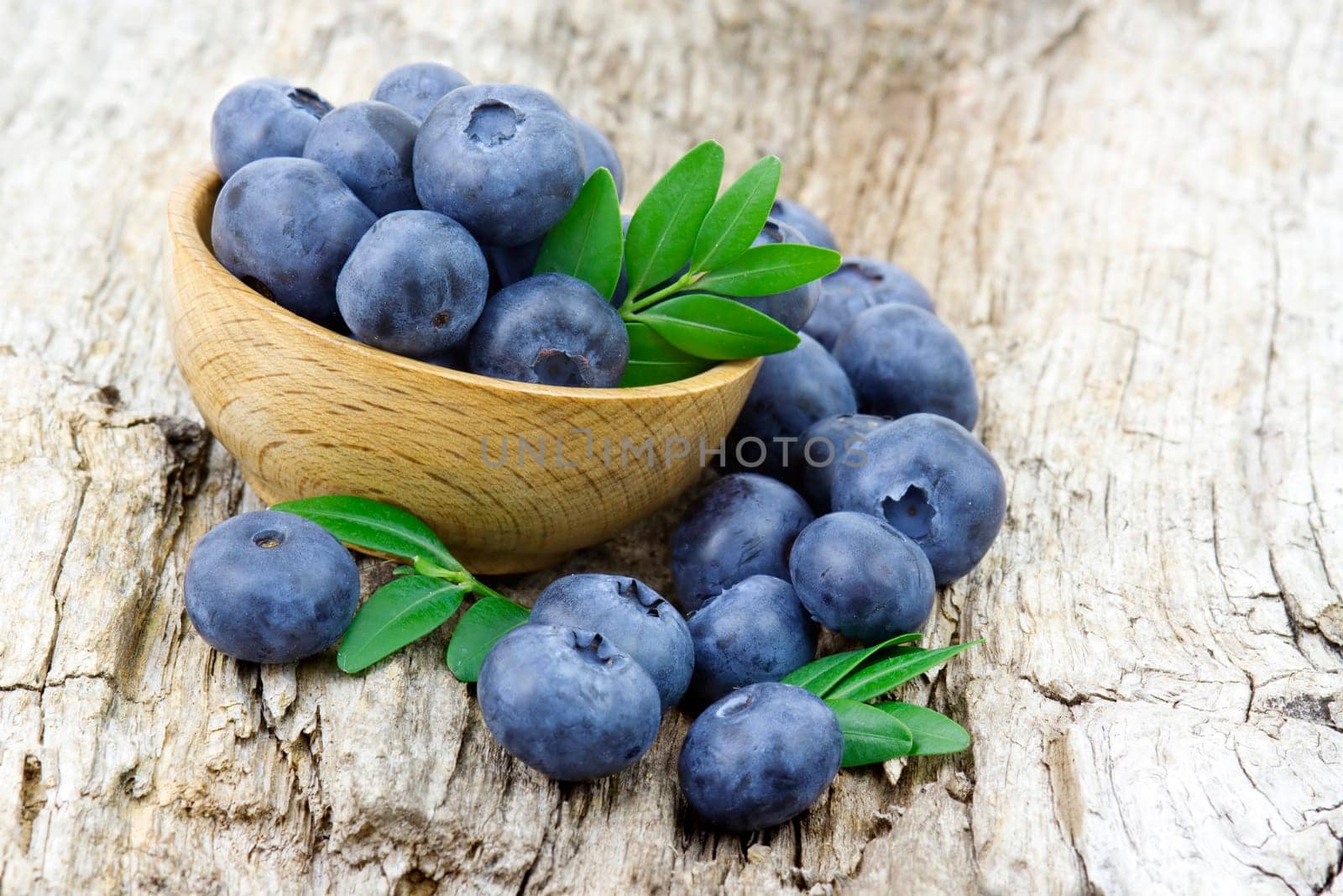 fresh blueberries in a bowl