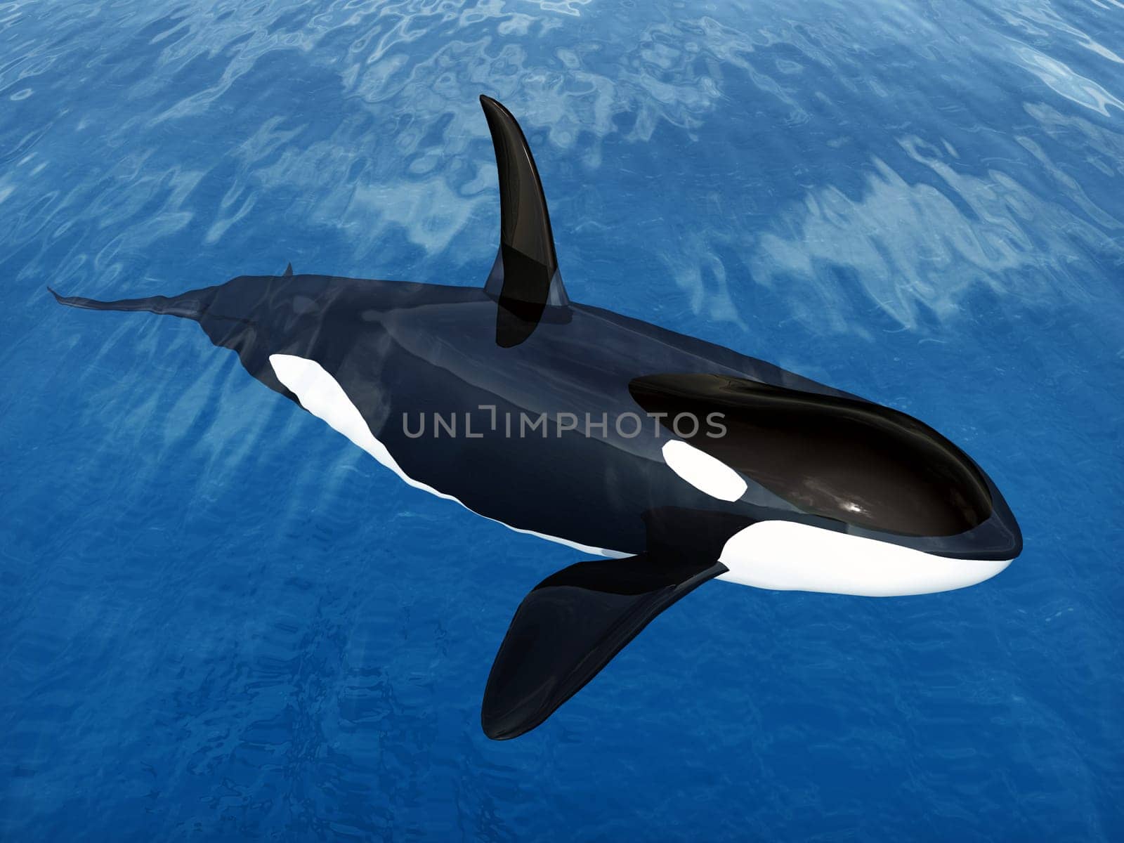 Computer-generated 3D illustration with a killer whale