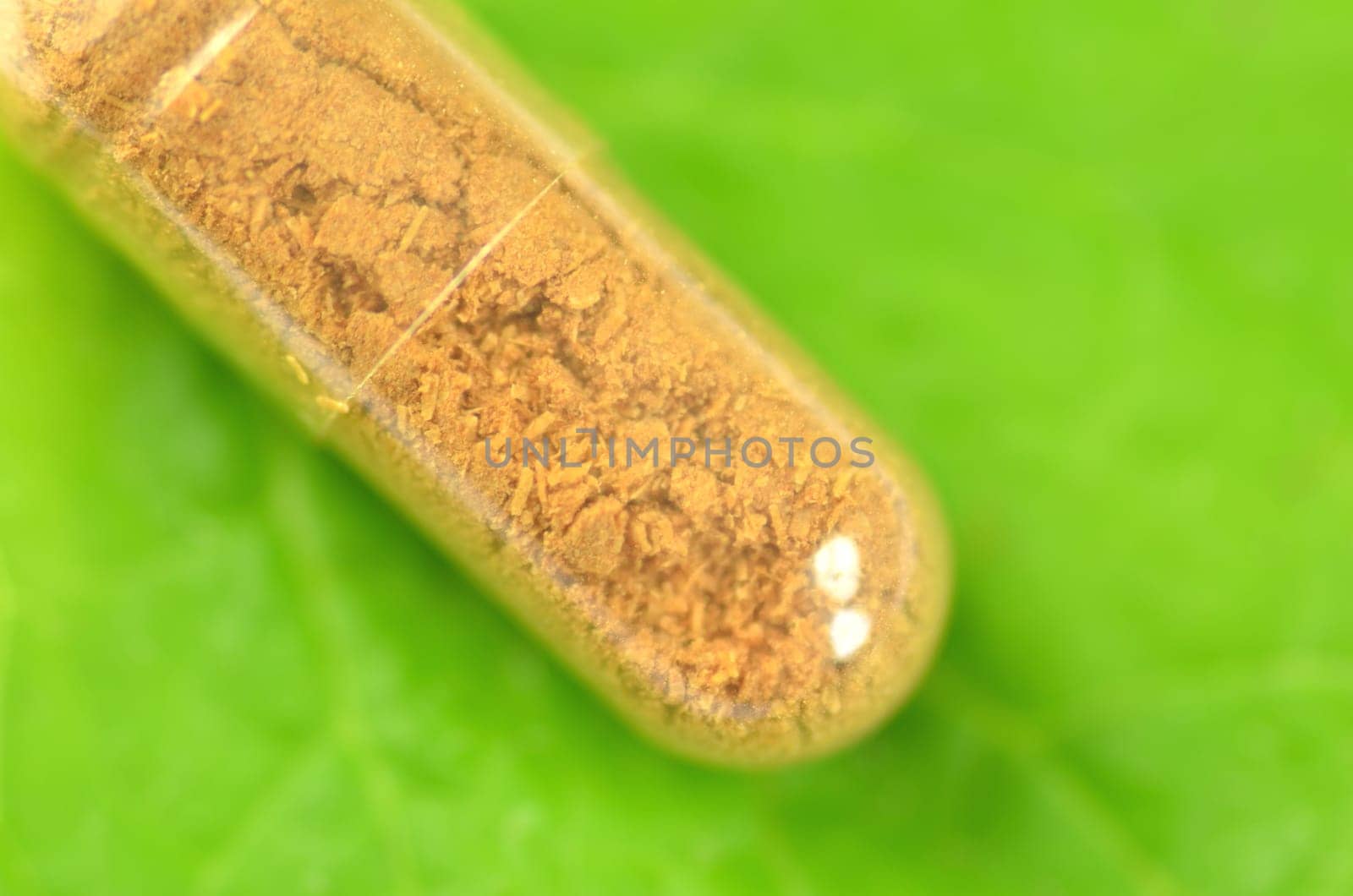 closeup of herbal capsules on melissa leaf isolated on white background