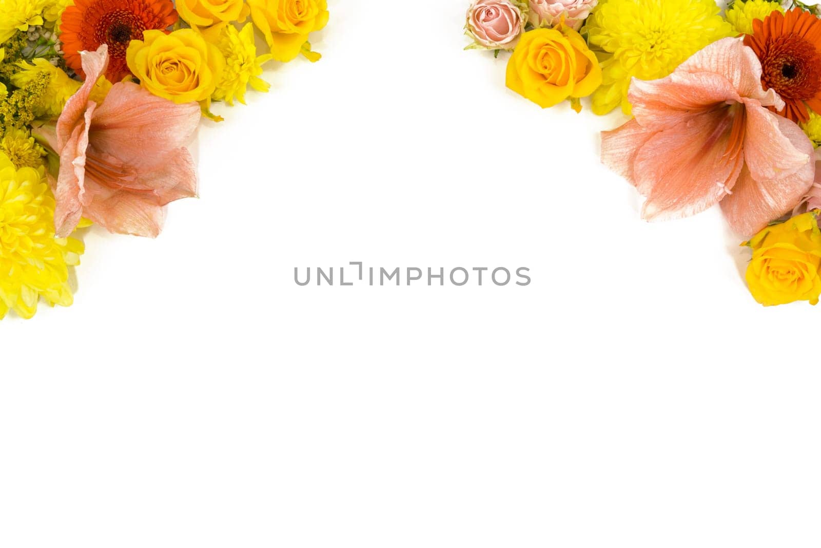 Individual flowers,roses,amaryllis,chrysanthemums as picture frames