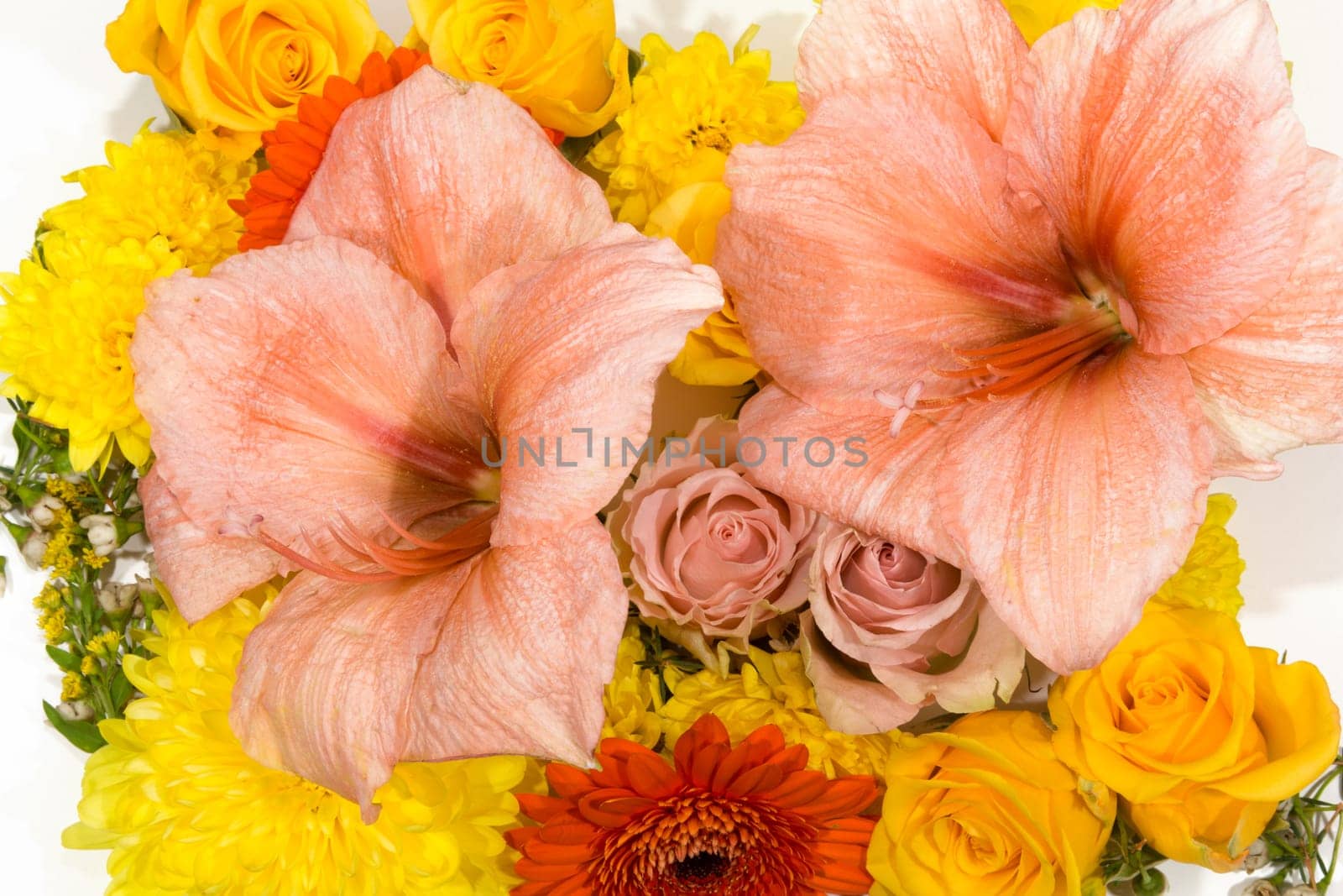Individual flowers,roses,amaryllis,chrysanthemums as a carpet of flowers