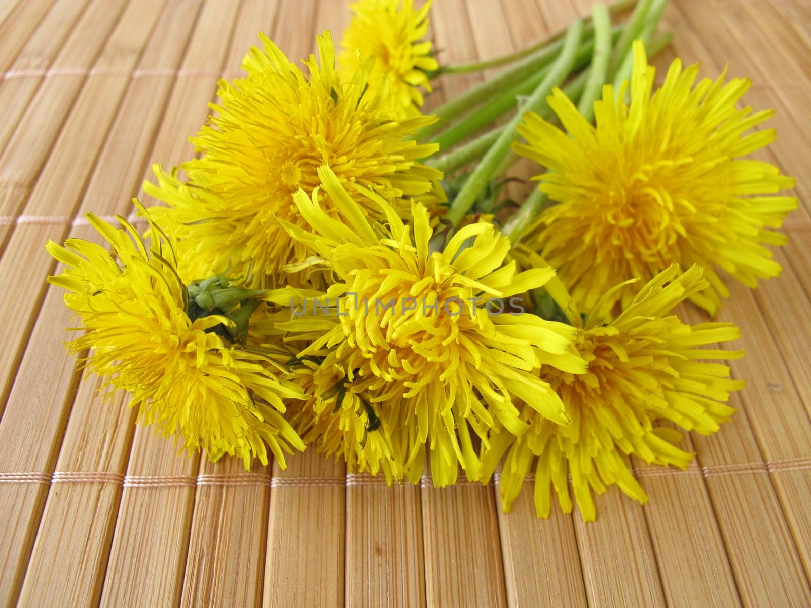 Bouquet of dandelion flowers