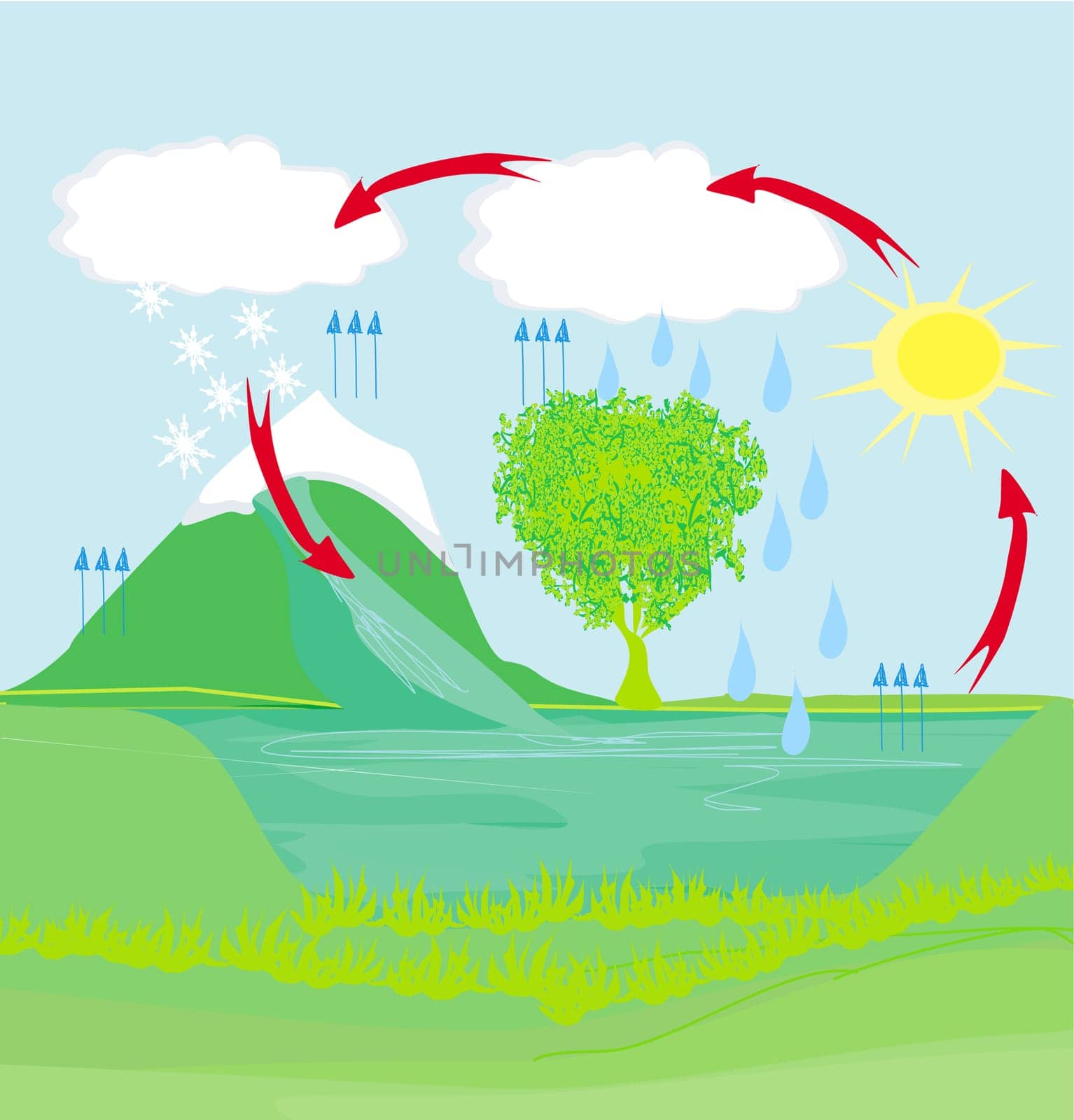 cycle water in nature environment