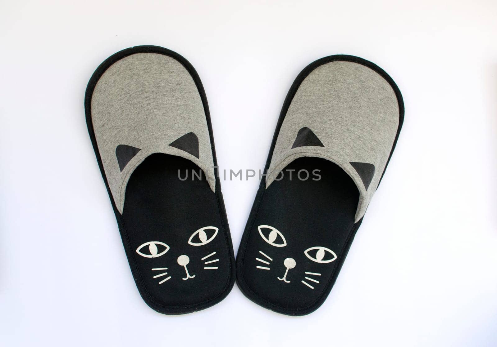 cat's eyes slippers