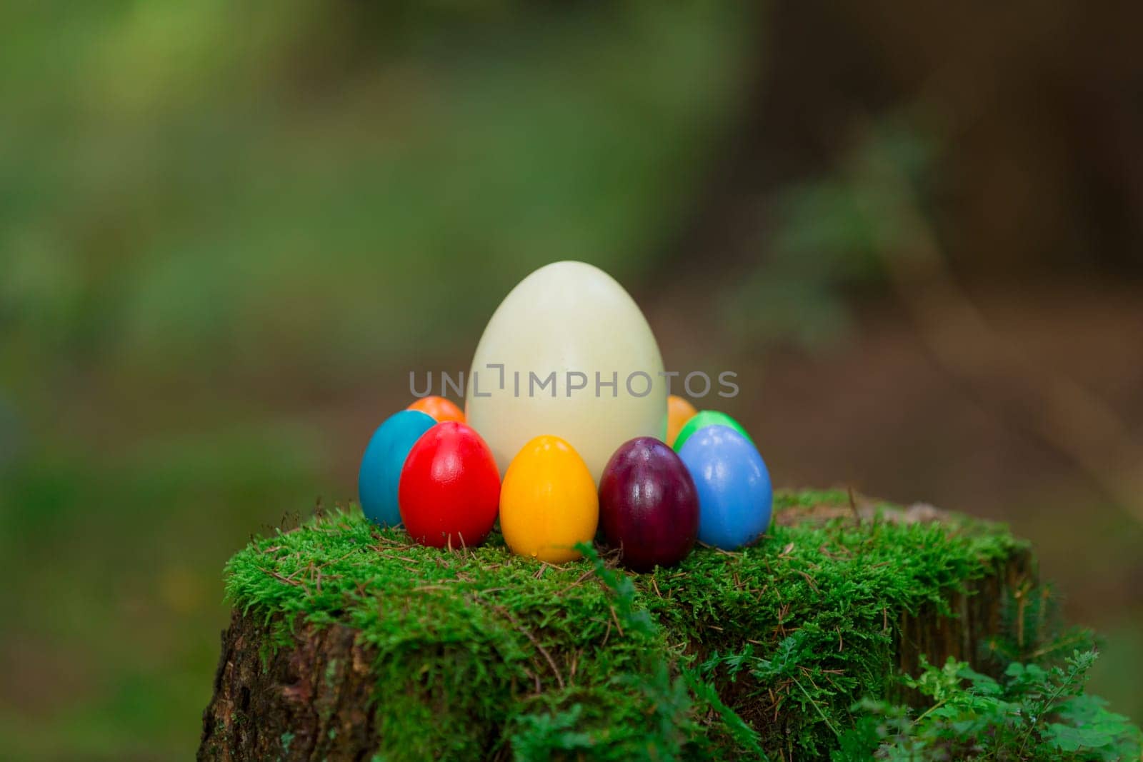 Colorful Easter eggs and a Nanduei on a tree stump