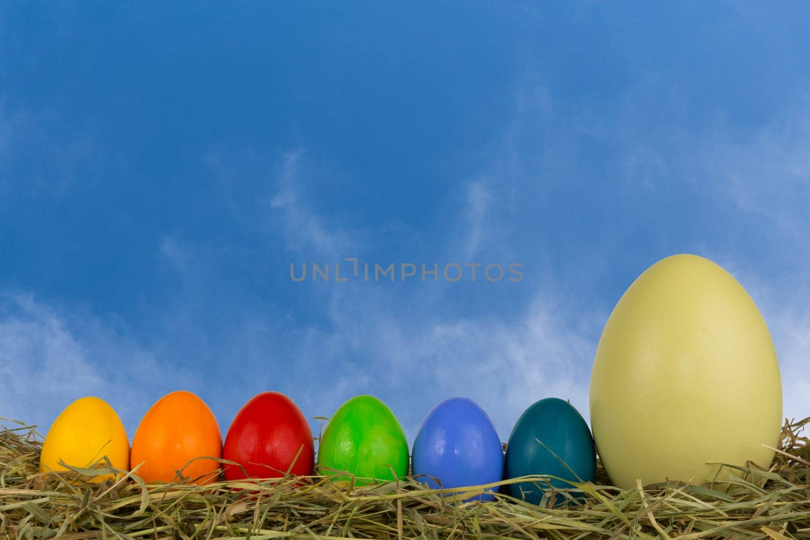 Colorful Easter eggs and a Nanduei iim hay