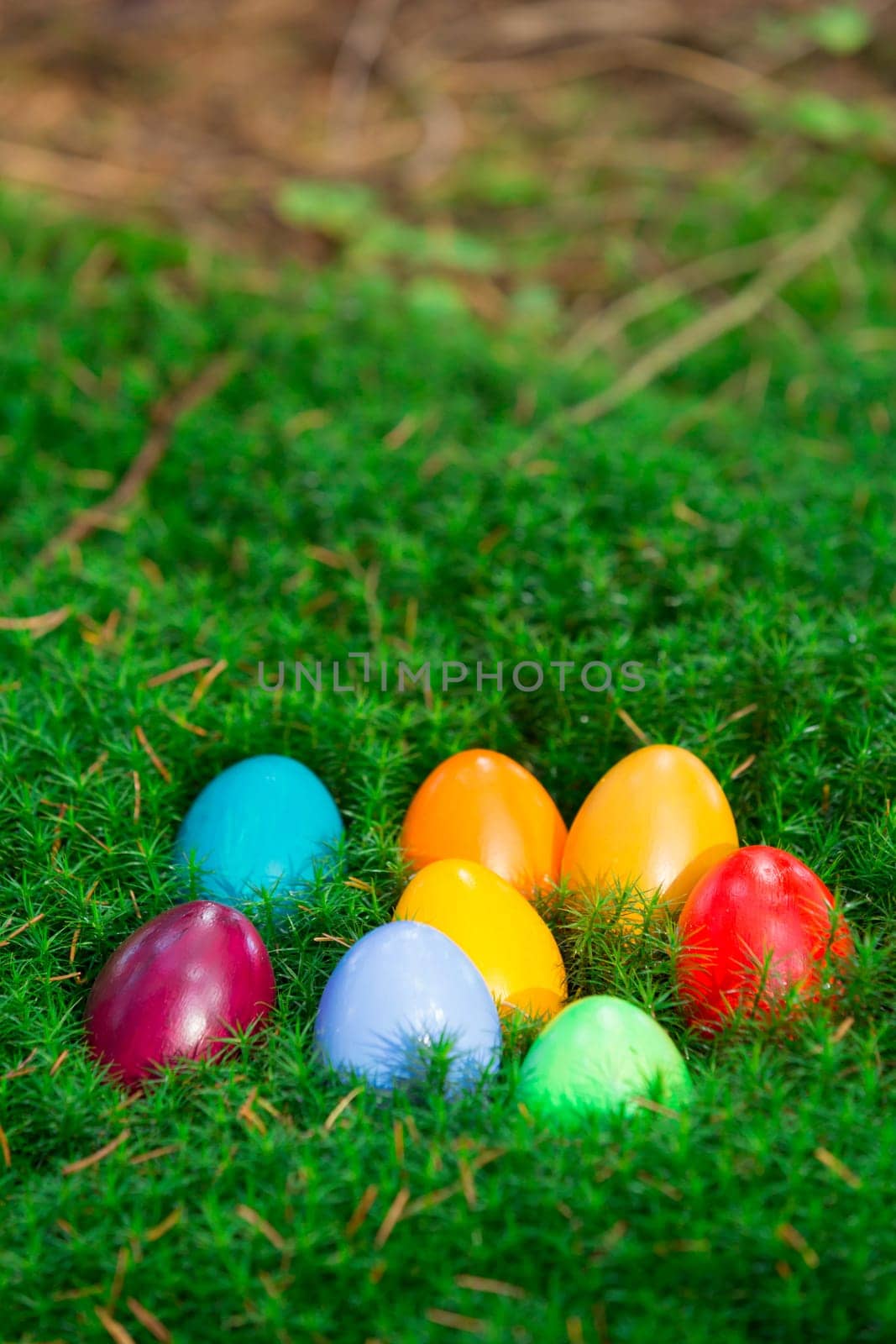 Colourful Easter eggs in a bed of moss