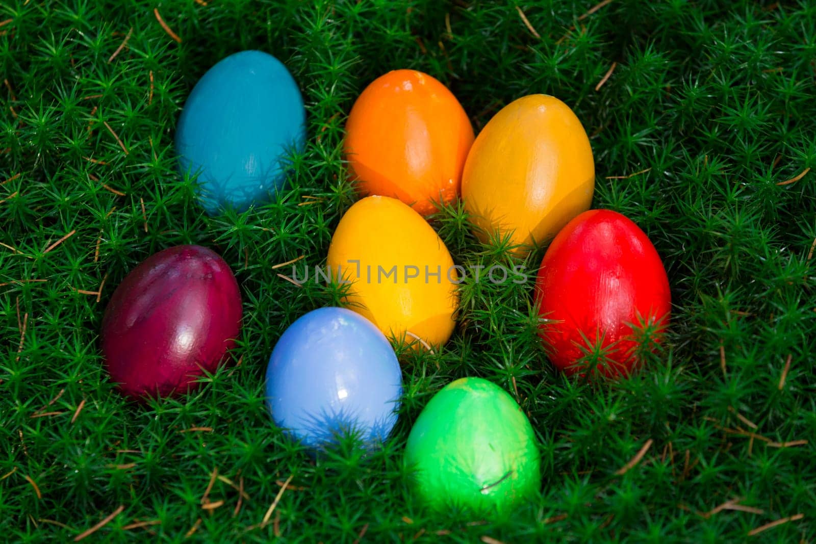 Colourful Easter eggs in a bed of moss