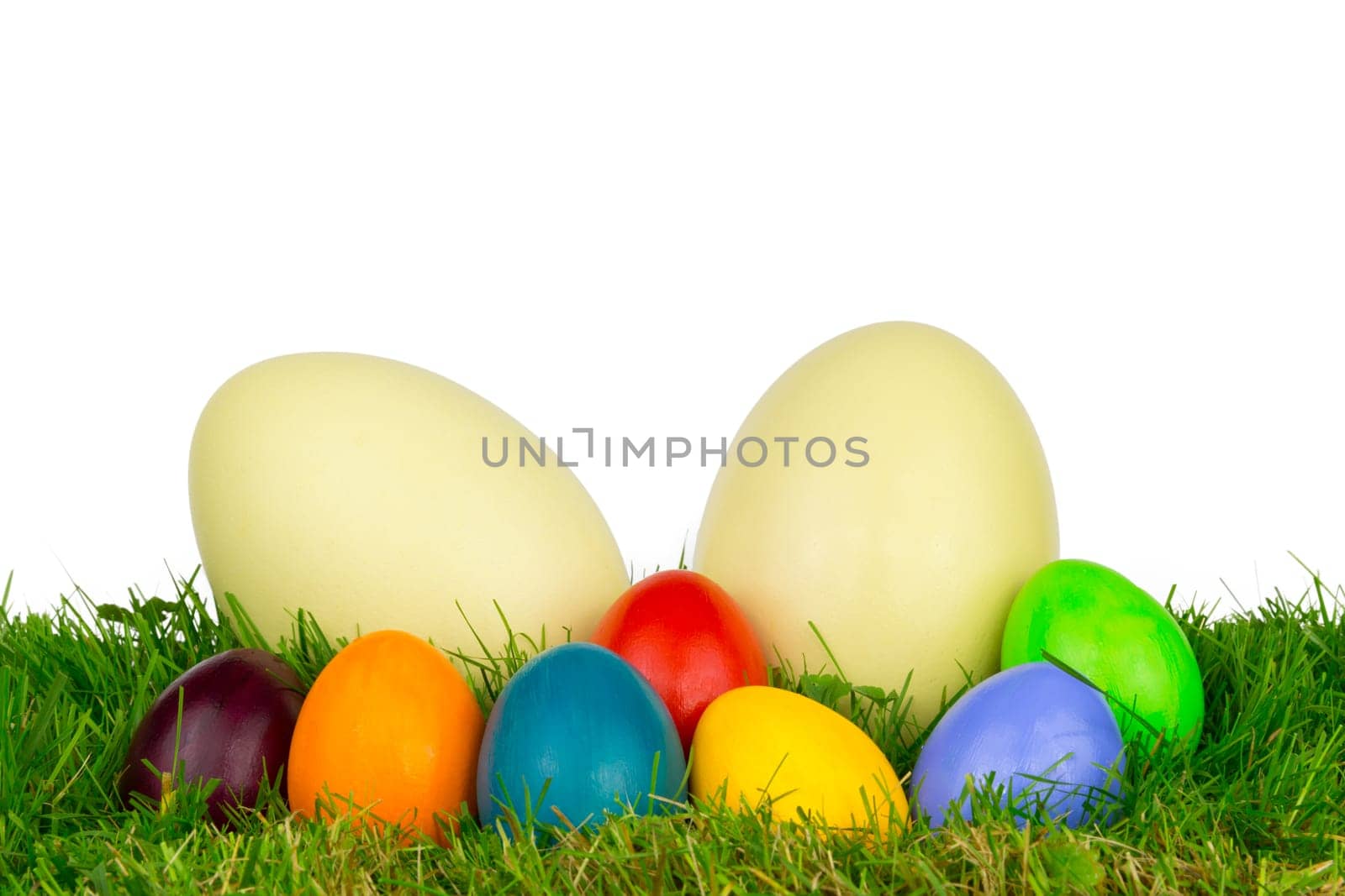 Colorful Easter eggs and a Nanduei in a meadow