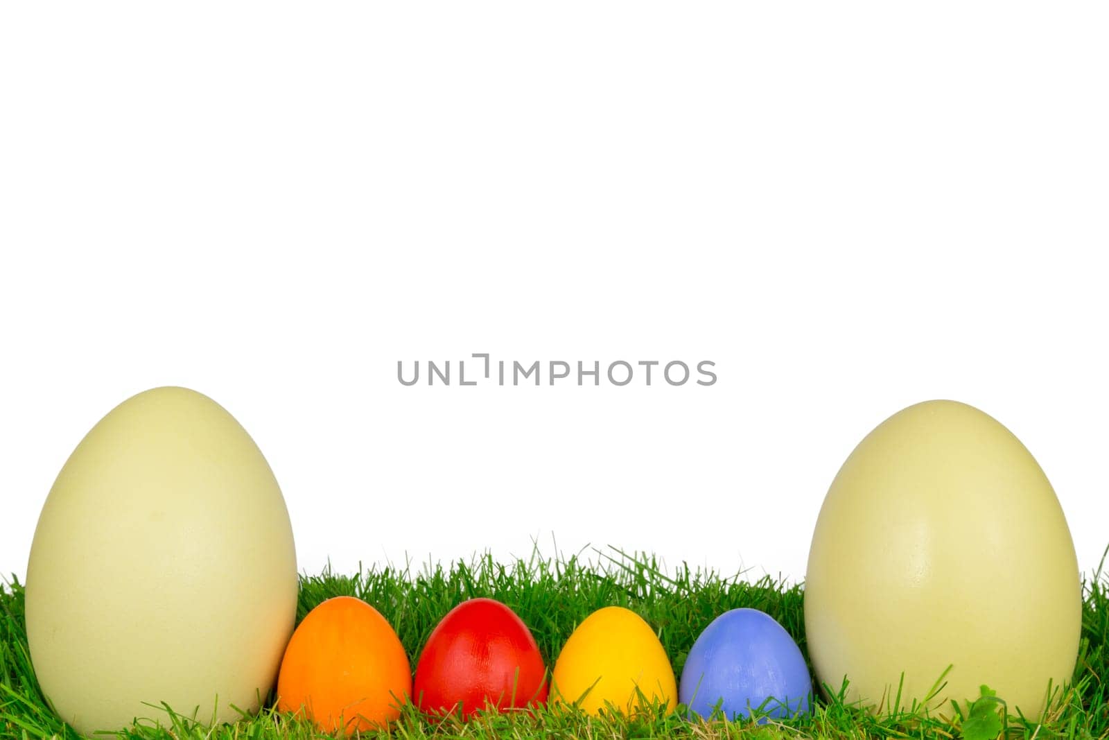 Colorful Easter eggs and a Nanduei in a meadow